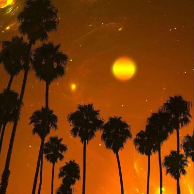 28网站app下载截图